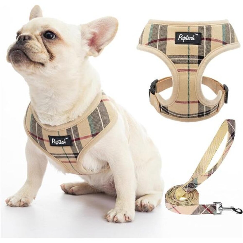 Soft Mesh Dog Harness and Leash Set Pet Puppy Cat Comfort Padded Vest No Pull